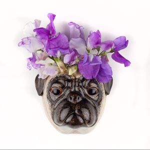 Hovedbilde Mops veggvase small
