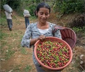 Hovedbilde Mexicos  Chiapas